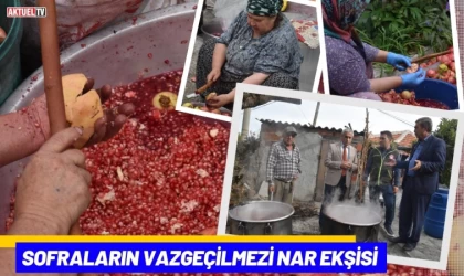 Sofraların Vazgeçilmezi Nar Ekşisi