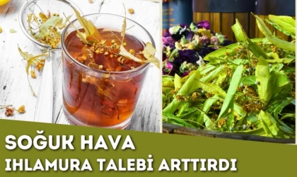 Soğuk Hava Ihlamura Talebi Arttırdı