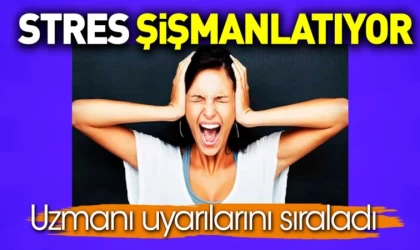 Stres Şişmanlatıyor Mu?