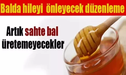 Türk Gıda Kodeksi Bal Tebliği’nde Değişiklik