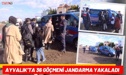 Ayvalık’ta 36 Göçmeni Jandarma Yakaladı