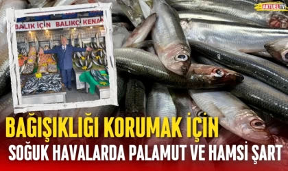 Bağışıklığı Korumak İçin Palamut ve Hamsi Şart