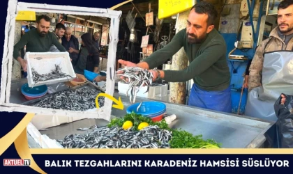 Balık Tezgahlarını Karadeniz Hamsisi Süslüyor