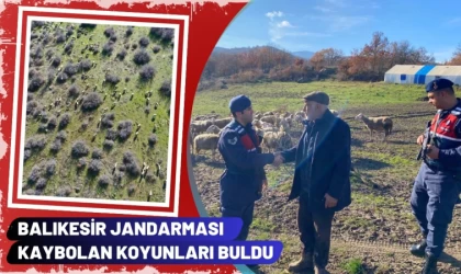 Balıkesir Jandarması Kaybolan Koyunları Buldu