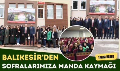 Balıkesir’den Sofralarımıza Manda Kaymağı