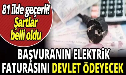 Başvuranın Elektrik Faturasını Devlet Ödeyecek