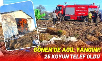 Gönen’de Ağıl Yangını! 25 Koyun Telef Oldu