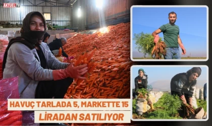 Havuç Tarlada 5, Markette 15 Liradan Satılıyor