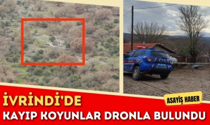 İvrindi’de Kayıp Koyunlar Dronla Bulundu