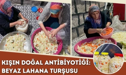 Kışın Doğal Antibiyotiği: Beyaz Lahana Turşusu