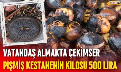 Pişmiş Kestanenin Kilosu 500 Lira