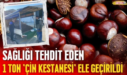 Sağlığı Tehdit Eden 1 Ton 'Çin Kestanesi' Ele Geçirildi