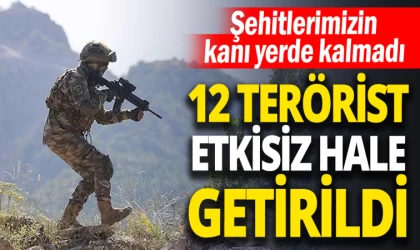 Şehitlerimizin Kanı Yerde Kalmadı, 12 Terörist Etkisiz Hale Getirildi