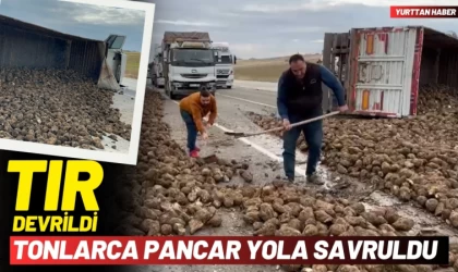 Tır Devrildi, Tonlarca Pancar Yola Savruldu