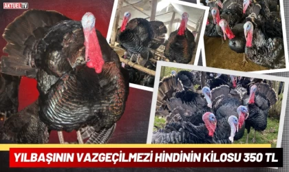 Yılbaşının Vazgeçilmezi Hindinin Kilosu 350 TL