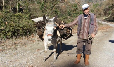 Araç kullanamadığı için eşekle yük çekiyor