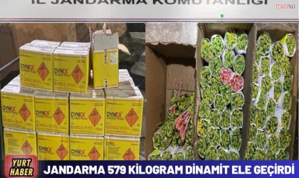 Jandarma 579 kilogram dinamit ele geçirdi