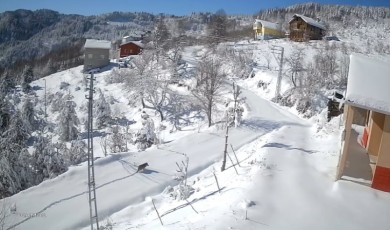 Kastamonu’da kurt gündüz vakti köye indi